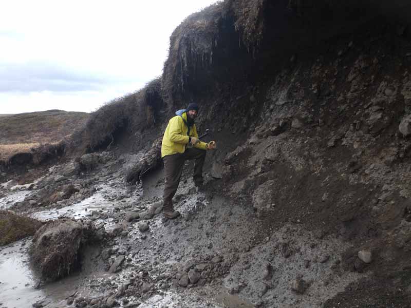 Professor Mark Urban explores a major thermokarst on the edge of a lake in Alaska. Thermokarsts form when buried ice melts, leaving a mud pit. in 2016.