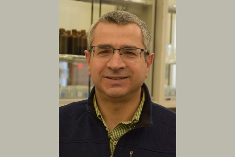 Anthony Provatas headshot