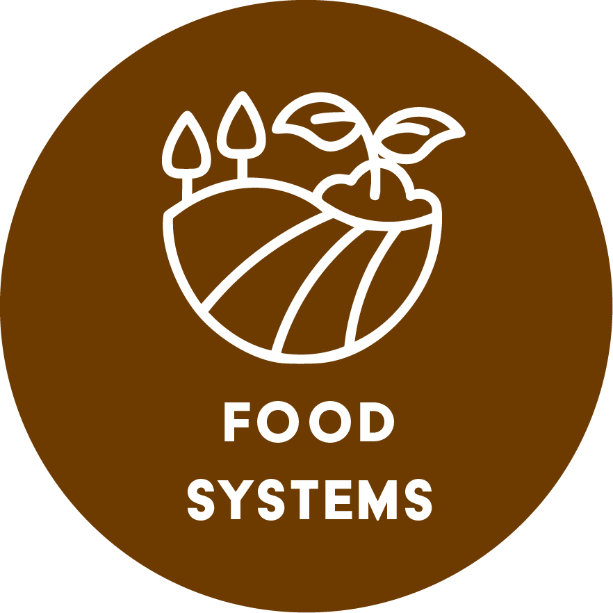 Food systems research icon