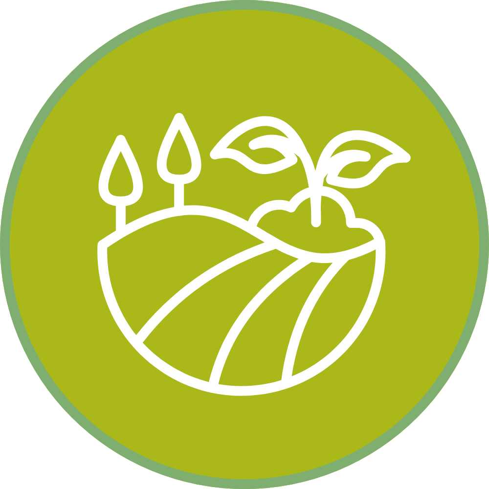 Food systems research icon