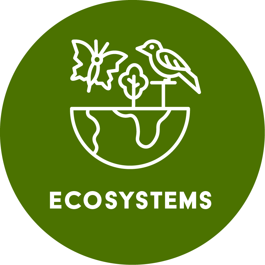 Ecosystems research icon