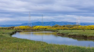 A tranquil wetland landscape stretches beneath a dramatic overcast sky, with a winding tidal channel reflecting soft shades of blue and gray. Green marsh grasses and vibrant yellow wildflowers line the water’s edge, while rolling hills rise in the distance. Palo Alto Baylands, Santa Clara County, California.