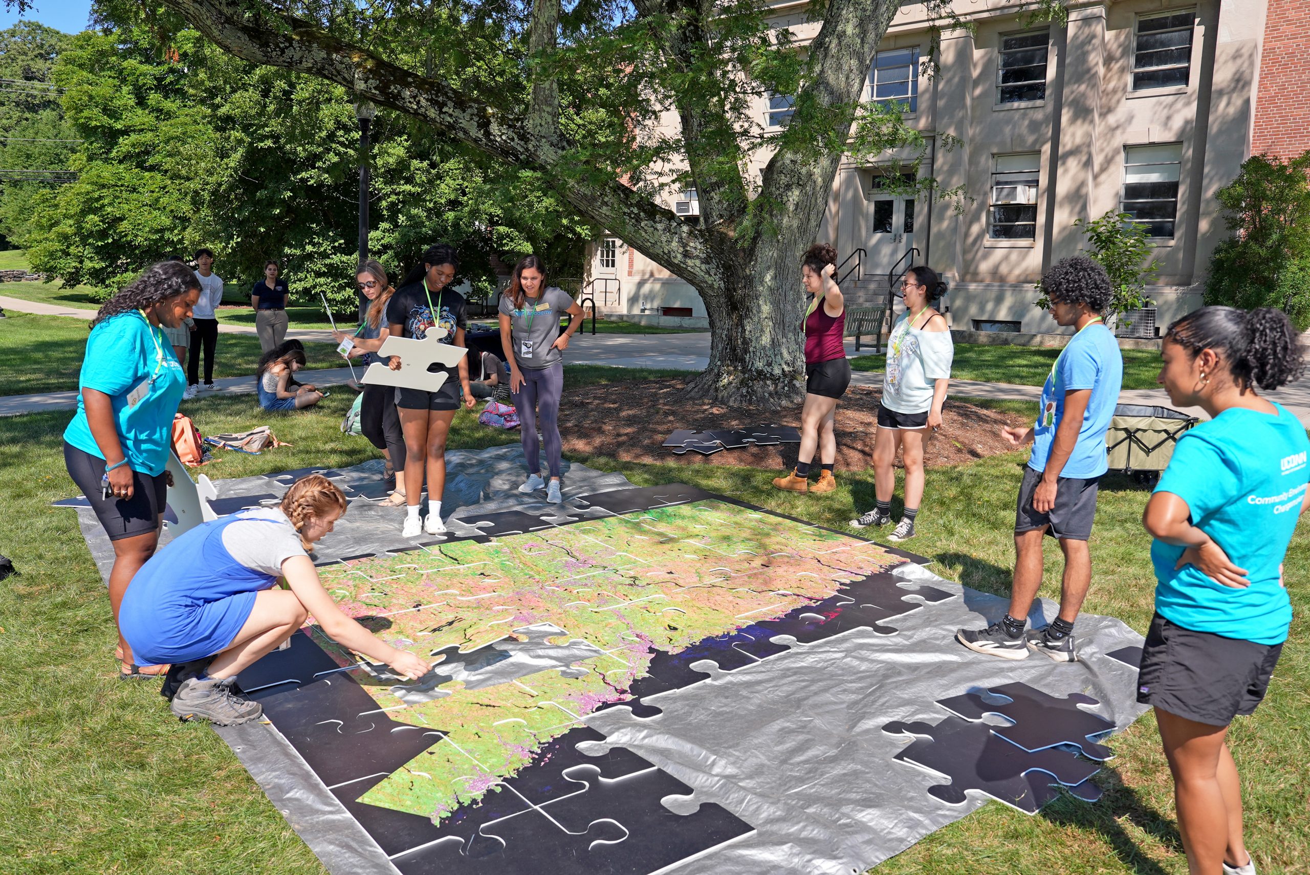 Group of people assembling a large puzzle of a map of Connecticut, outdoors on grass under a tree.